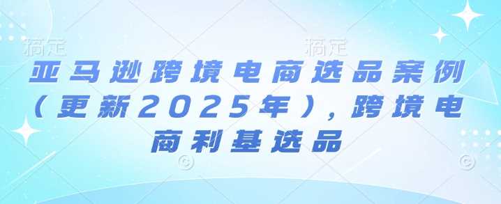 亚马逊跨境电商选品案例(更新2025年2月)，跨境电商利基选品